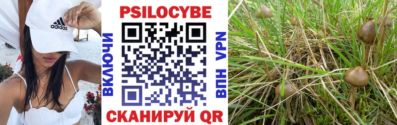 Галлюциногенные грибы GOLDEN TEACHER  где найти наркотики  Малгобек 
