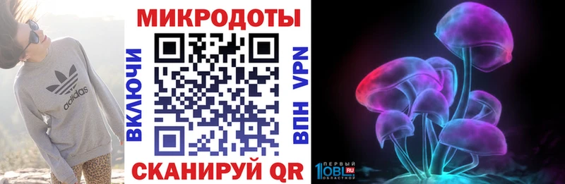 Псилоцибиновые грибы Psilocybe Малгобек